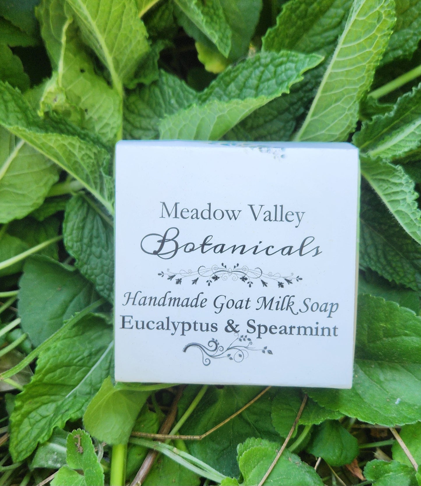 Eucalyptus Spearmint Goat Milk Soap