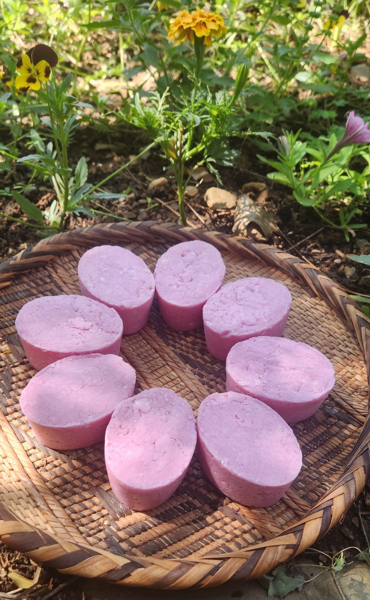 Raspberry & Sweet Pea Shampoo Bar