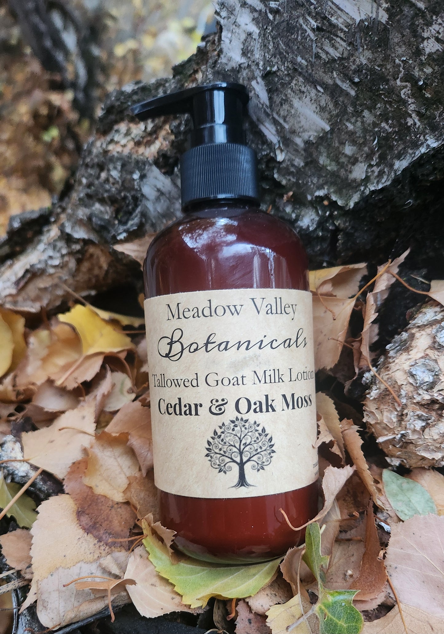 Cedar & Oakmoss Tallowed Goat Milk Lotion