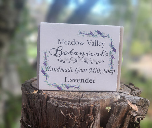 Lavender Goats Milk Soap