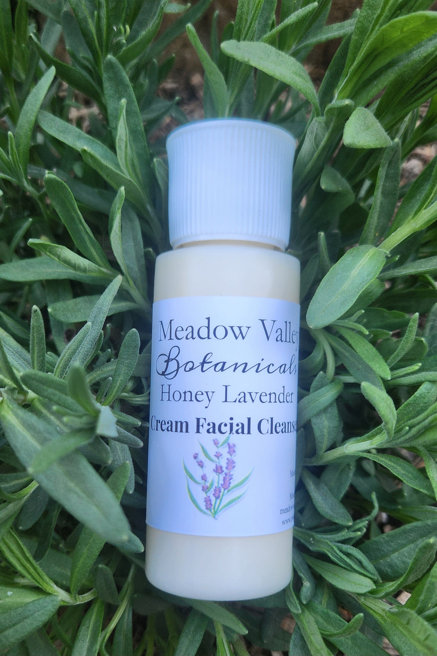 Honey Lavender Cream Facial Cleanser