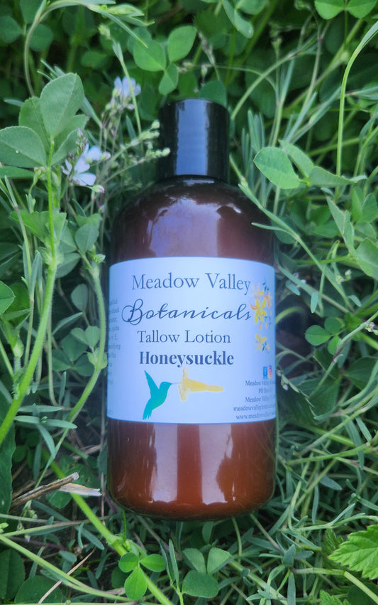 Honeysuckle Tallow Lotion